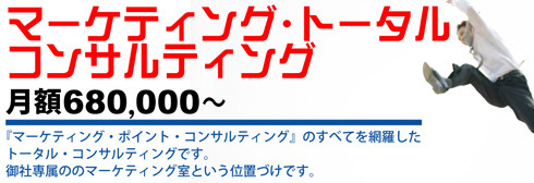 マーケティング・トータル・コンサルティング.jpg